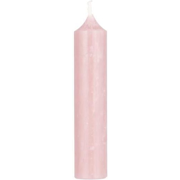 Bedelys - lys rosa