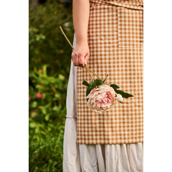 Peonstilk - 1blomst og en knopp rosa - Bilde 2