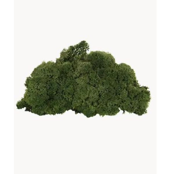 Mose/lav - grønn  100gr non - flammable