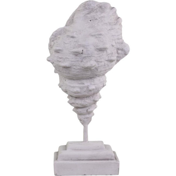 Konkylie på for h23