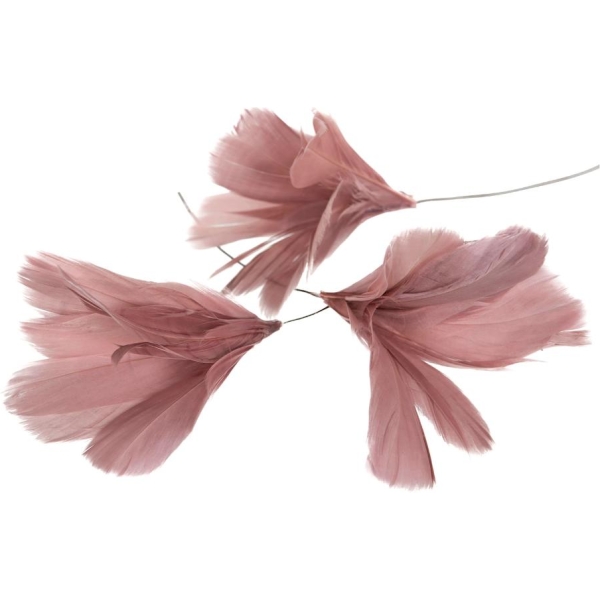 Fjær 12pk gammelrosa