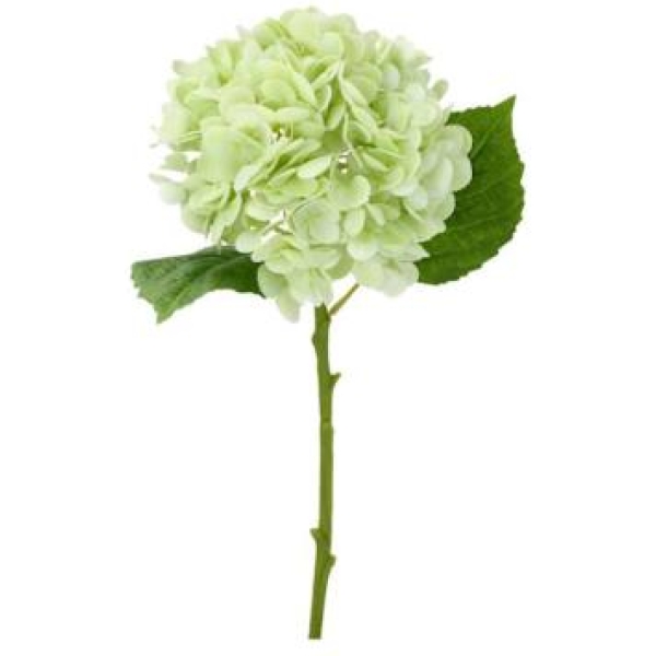 Hortensia - kunstig grønn 50cm