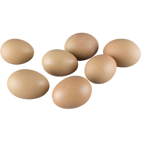 Hønseegg - Brun